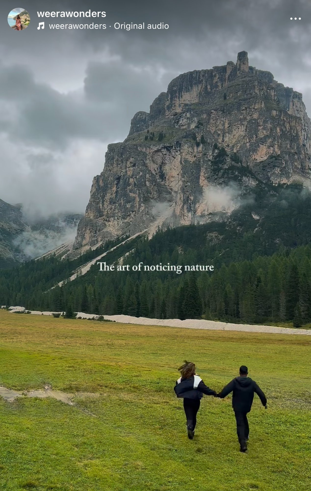 The art of noticing nature